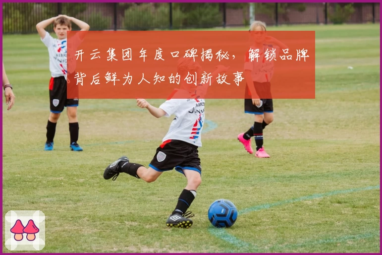 开云集团年度口碑揭秘，解锁品牌背后鲜为人知的创新故事